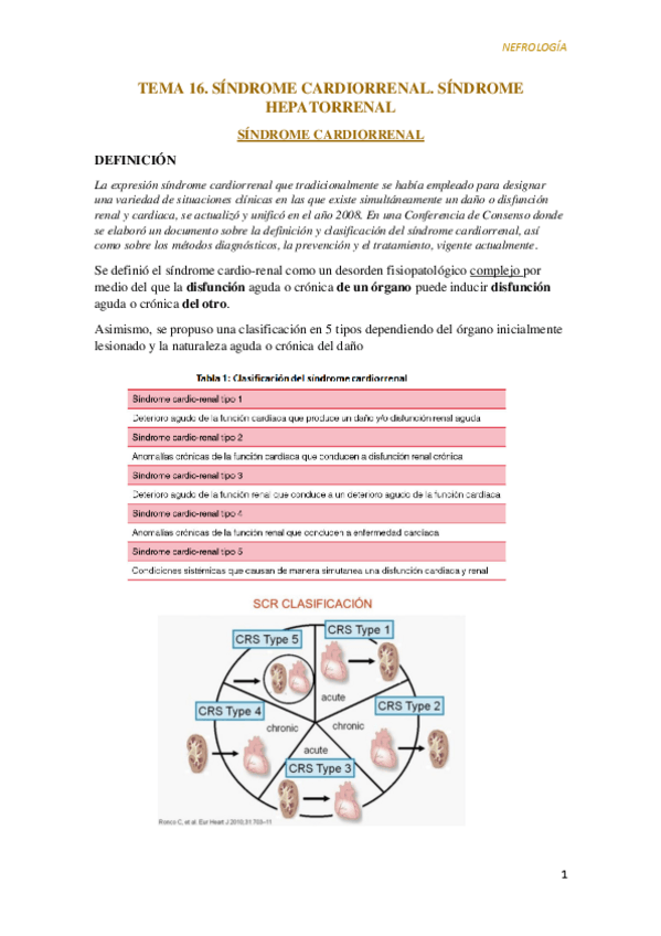 Miniatura del documento Tema-16.-Sindrome-Cardio-Hepatorenal.pdf