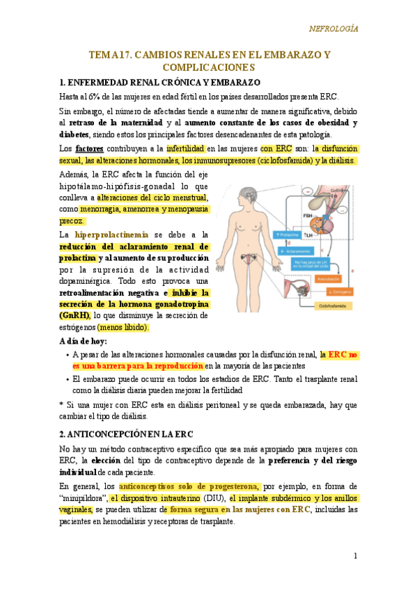 Miniatura del documento Tema-17.-Cambios-renales-en-el-embarazo-y-complicaciones.pdf