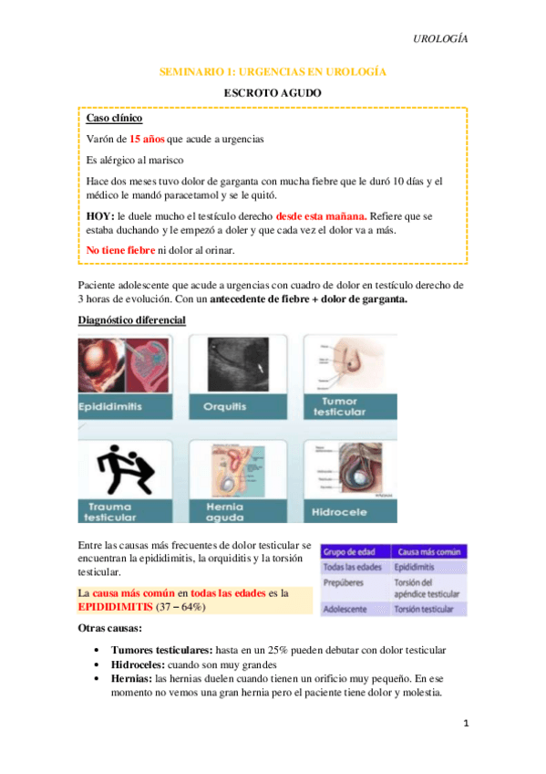 Miniatura del documento S1-Urgencias-urologicas.pdf