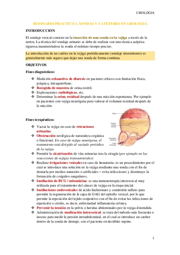 Miniatura del documento S4-Sondas-y-cateteres-en-Urologia.pdf