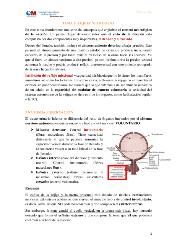 Miniatura del documento Tema-6.-Vejiga-neurogena.pdf