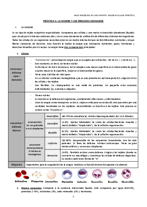 Miniatura del documento PRACTICAS-BASES-BIOLOGICAS.pdf