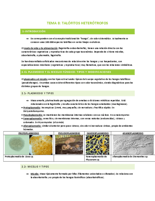 Miniatura del documento TEMA-8-TALOFITOS-HETEROTROFOS.pdf