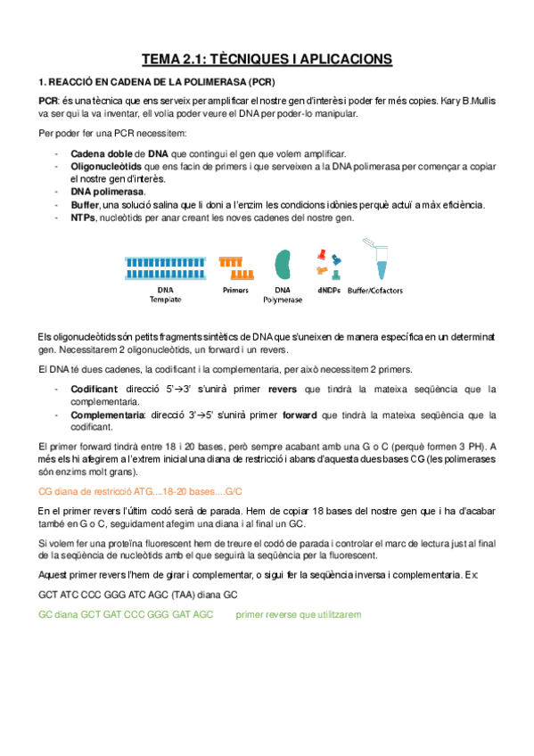 Miniatura del documento Tema-2-A-i-B-Tecniques-i-aplicacions-PCR.-Clonatge.pdf