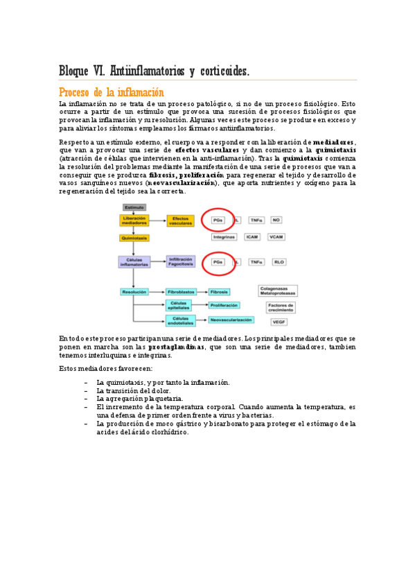 Miniatura del documento Bloque-VI.-Antiinflamatorios-y-corticoides.pdf