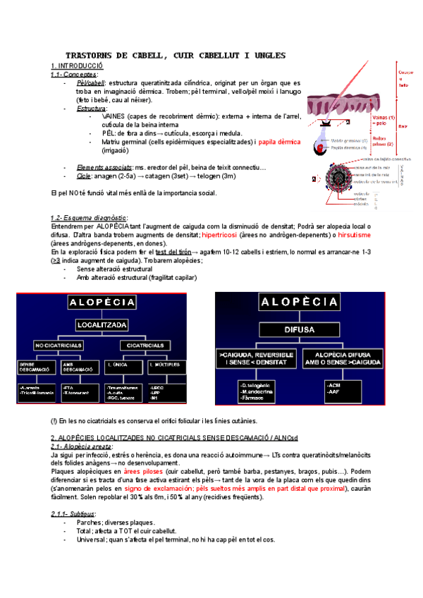 Miniatura del documento Cabell-i-ungles-T12.pdf