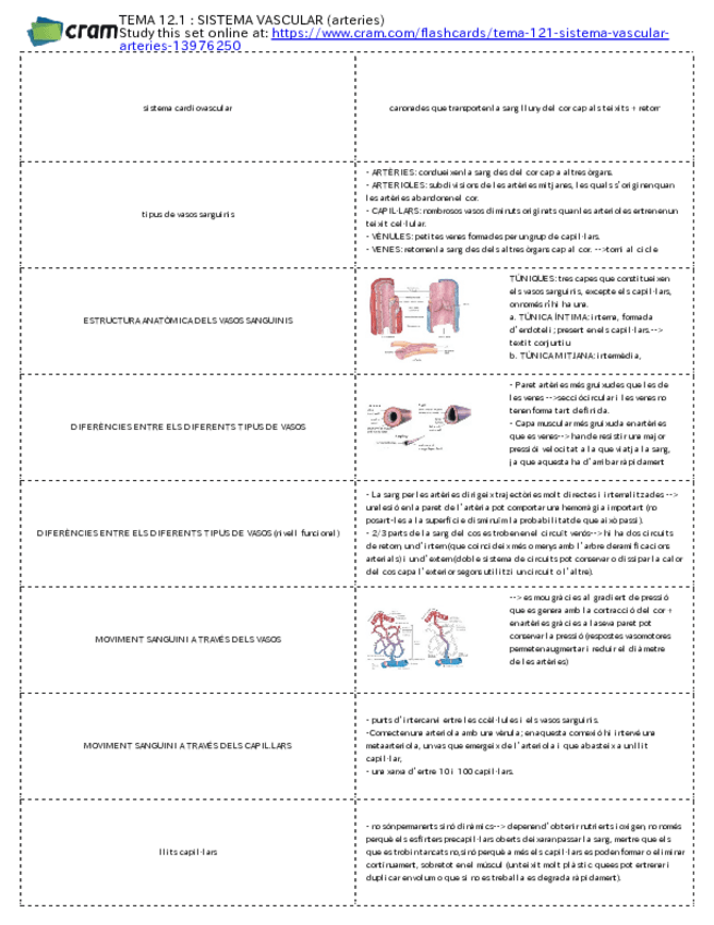 Miniatura del documento TARGETES-TEMA-12.1-Sistema-Vascular-ARTERIES.pdf