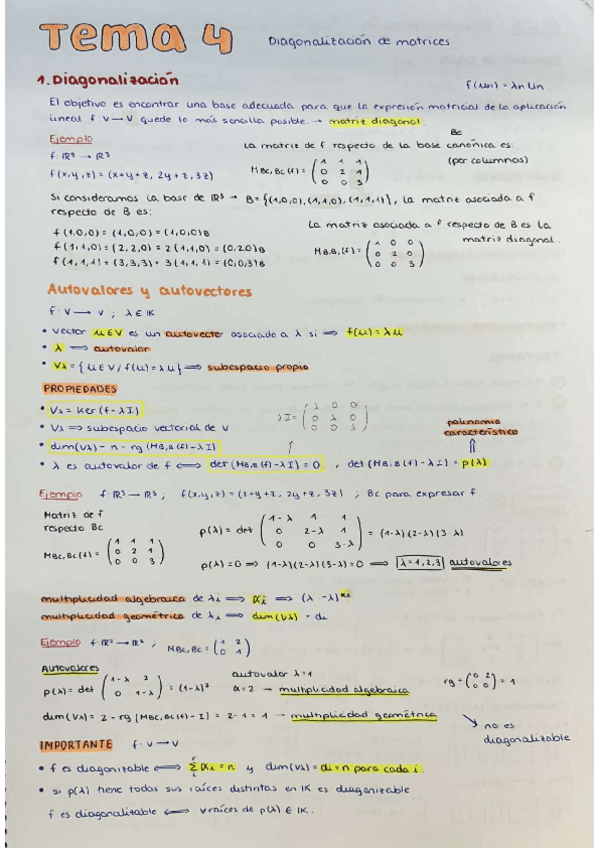 Miniatura del documento Tema-4-Diagonalizacion-de-Matrices.pdf