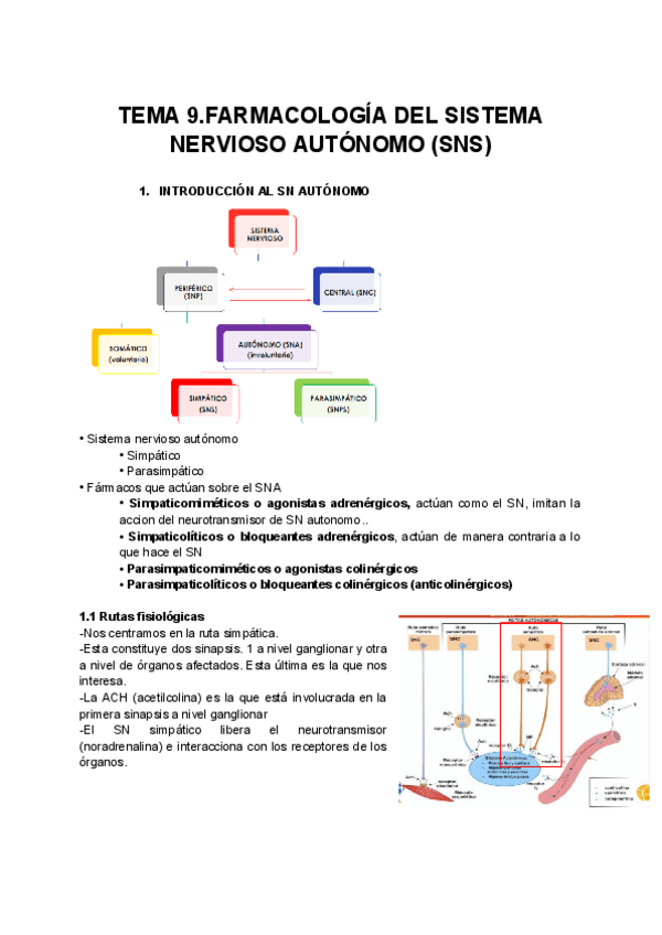 Miniatura del documento TEMA-9FARMACOLOGIA-DEL-SISTEMA-NERVIOSO-AUTONOMO-SNS.pdf