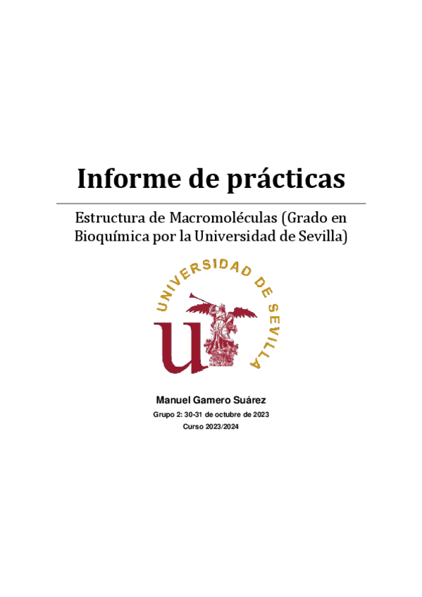 Miniatura del documento InformedepracticasEMM.pdf