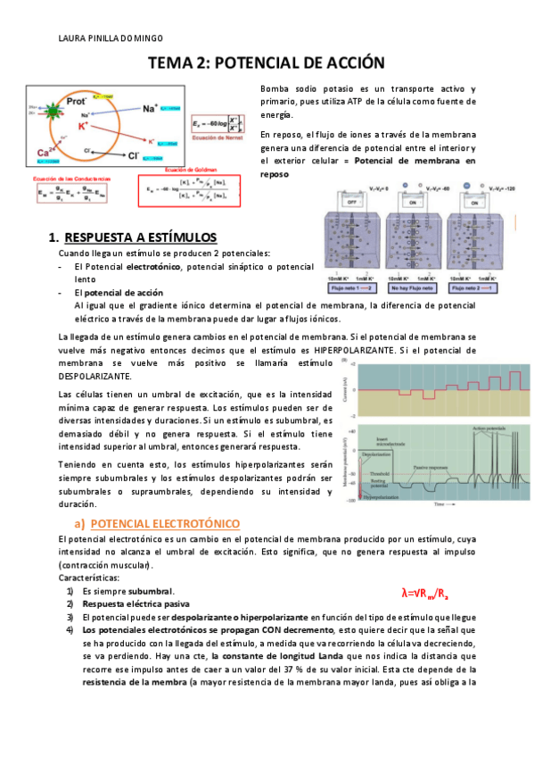 Miniatura del documento TEMA-2-Fisiologia-bloque-1.pdf