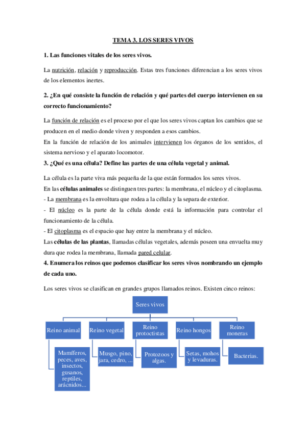 Miniatura del documento Preguntas examen Didáctica de las Ciencias Naturales y Sociales en EI.pdf