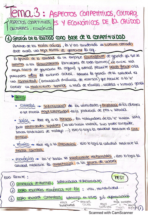 Miniatura del documento PYMES-TEMA 3.pdf