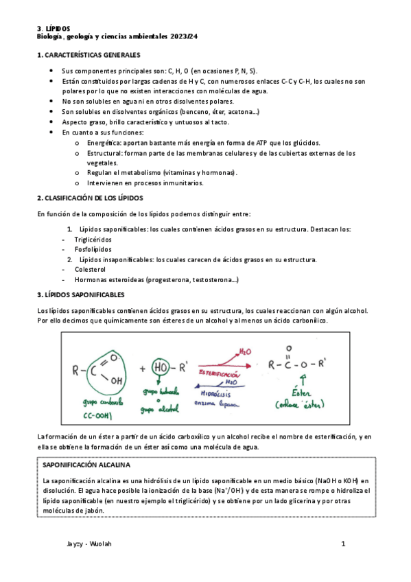 Miniatura del documento 3-Lipidos-Apuntes.pdf