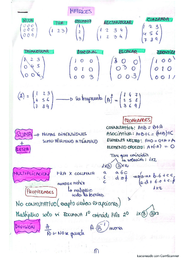Miniatura del documento MATRICES-Y-DETERMINANTES-MAT1-UNED.pdf