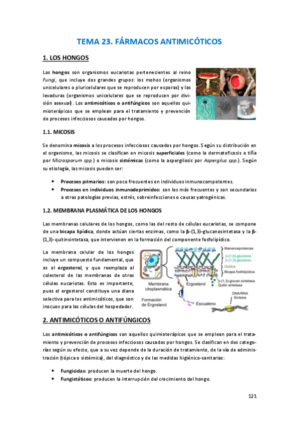 Miniatura del documento Farma-tema-23.pdf