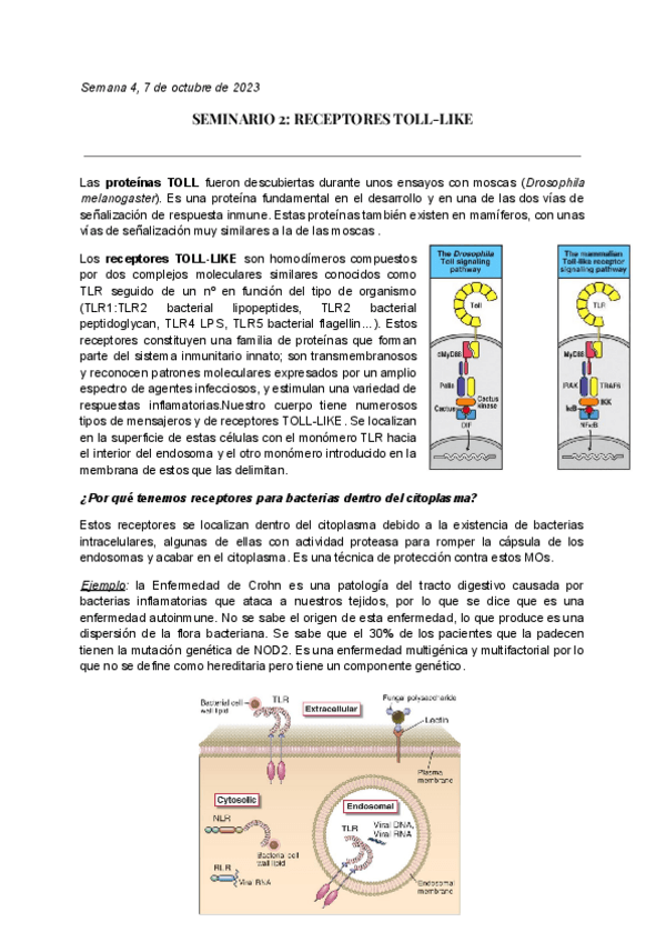 Miniatura del documento Seminario 2: TOLL-like (inmuno).pdf