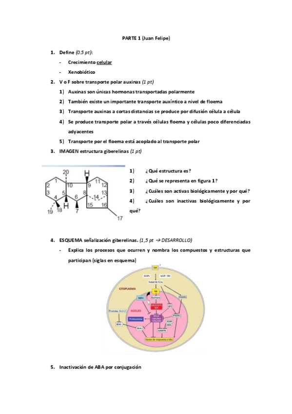 Miniatura del documento EXAMEN FV2 2018_Junio 2º llamamiento.pdf
