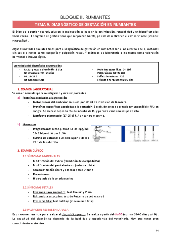 Miniatura del documento BLOQUE-III.-RUMIANTES.pdf