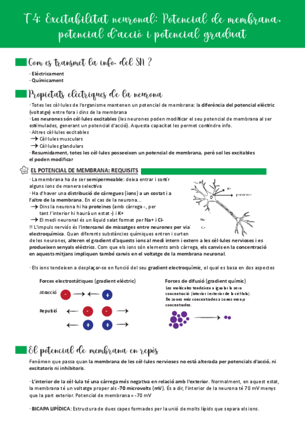 Miniatura del documento EFSN-Bloc-2.pdf