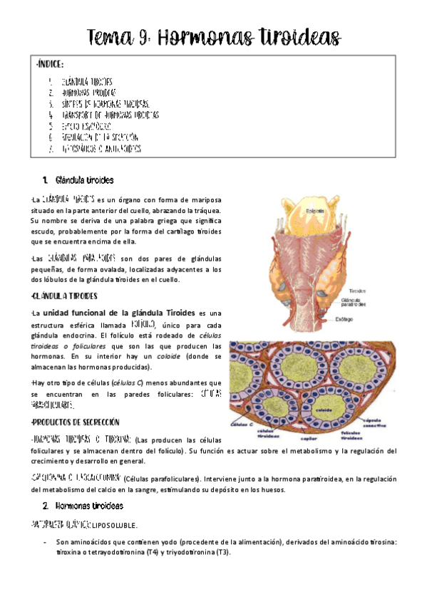 Miniatura del documento tema-9-fisio-animal.pdf