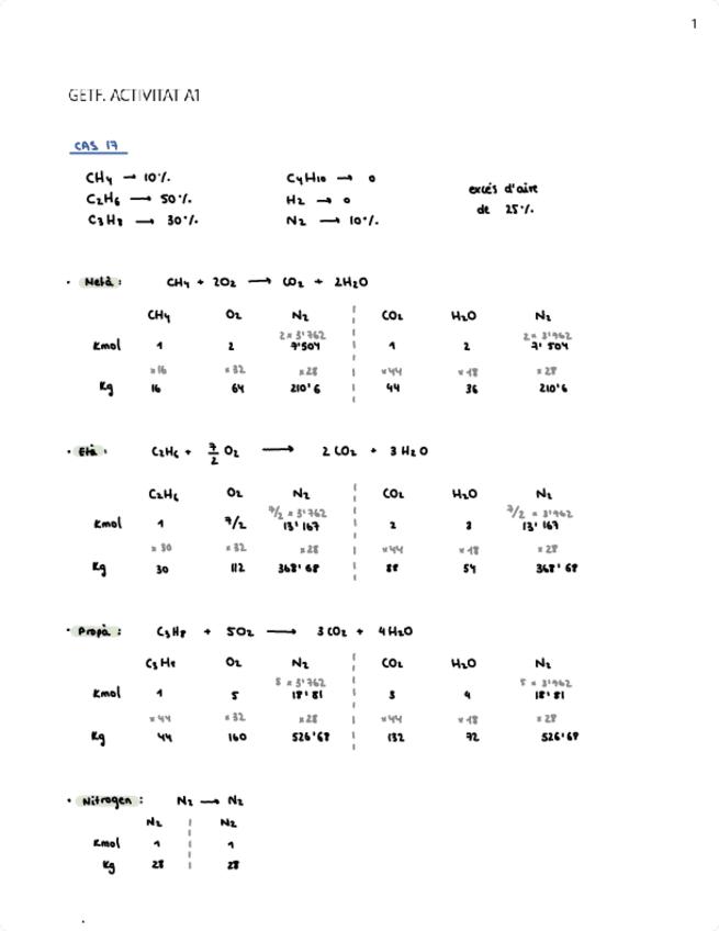 Miniatura del documento act-A1.pdf