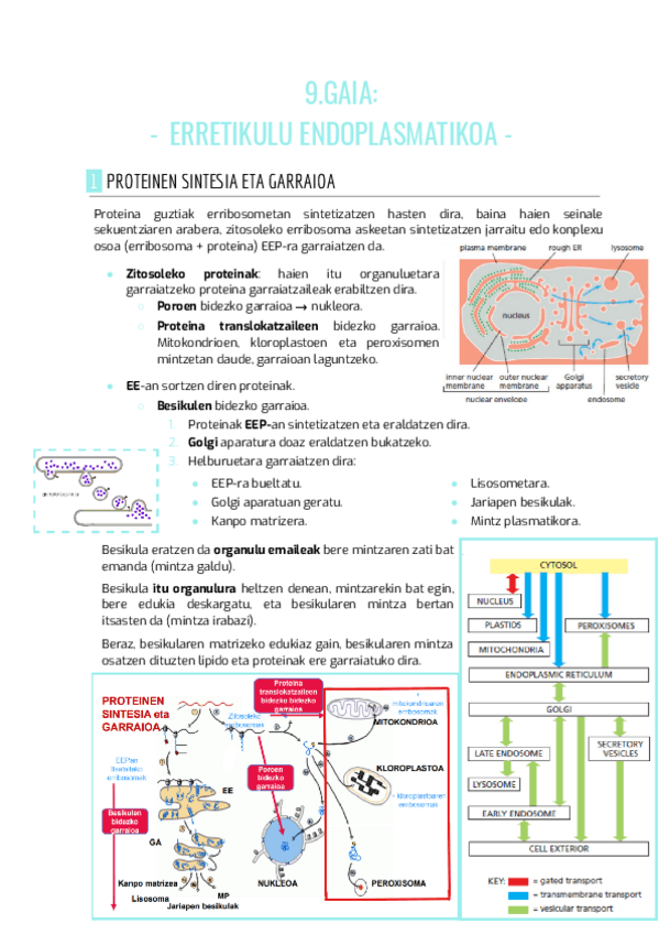 Miniatura del documento BIOZEL-9.gaia.pdf