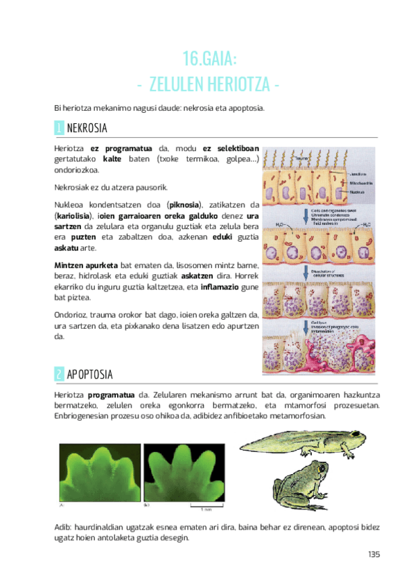 Miniatura del documento BIOZEL-16.gaia.pdf