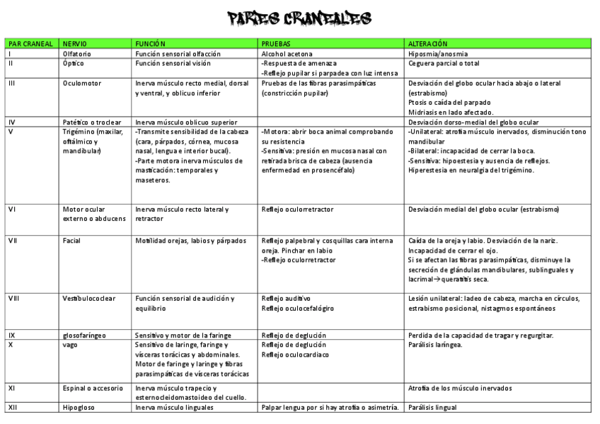 Miniatura del documento TABLA-RESUMEN-PARES-CRANEALES-REJAS.pdf