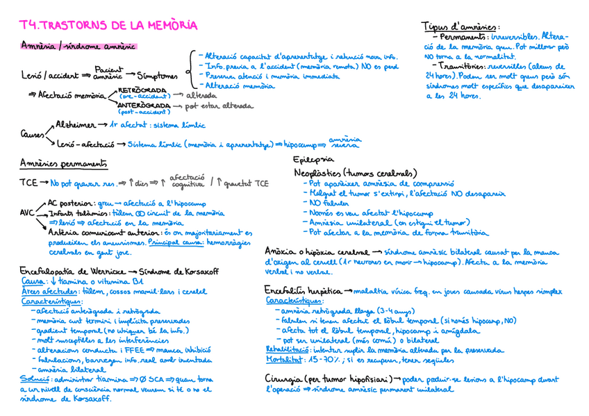 Miniatura del documento T4-Resum-trastorns-memoria.pdf