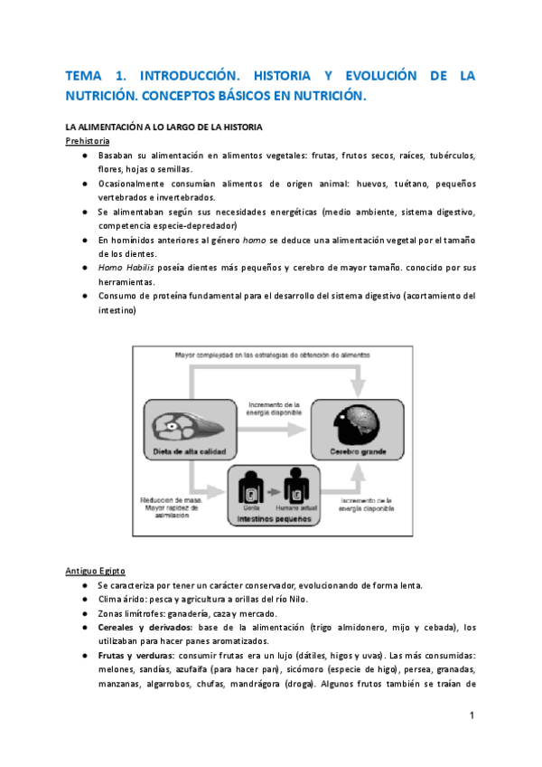 Miniatura del documento Temario-nutri-completo.pdf
