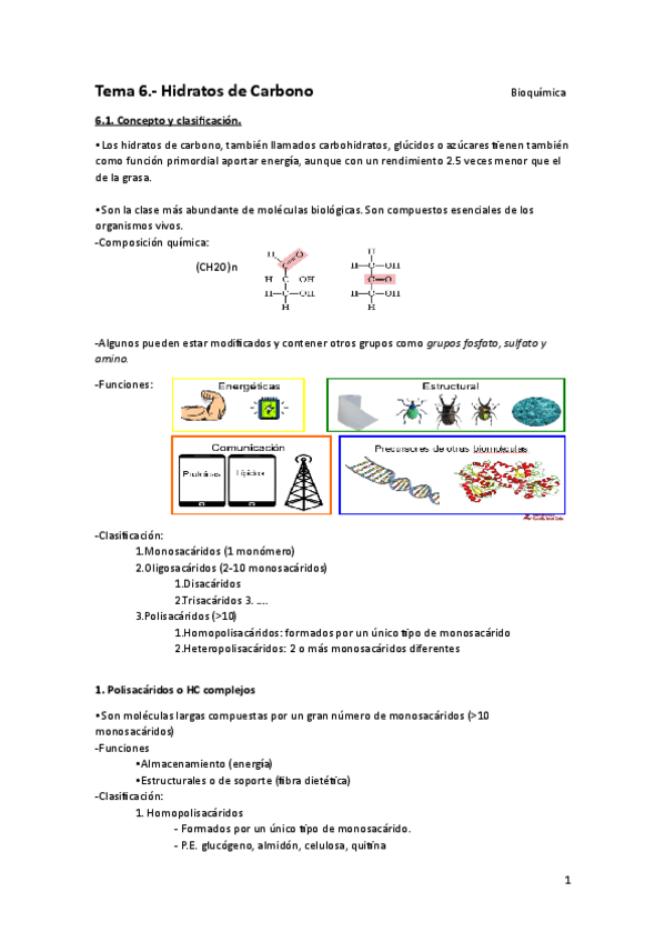 Miniatura del documento TEMA-6.-Hidratos-de-Carbono.pdf