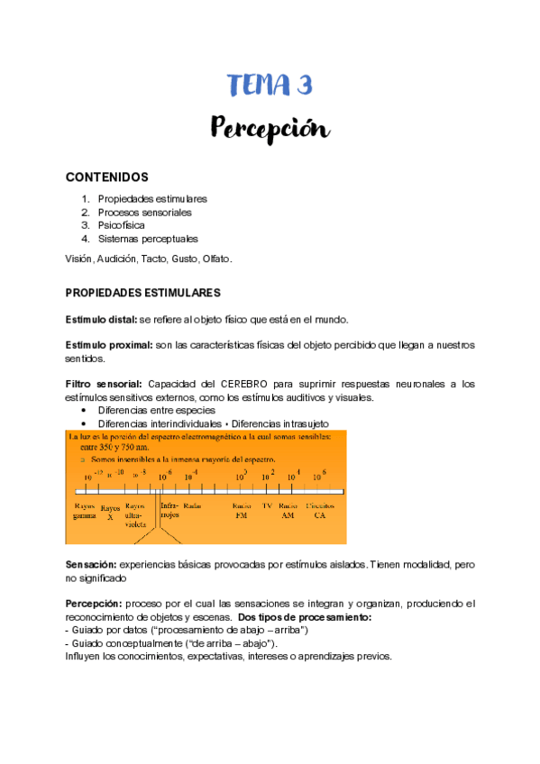 Miniatura del documento TEMA-3-PERCEPCION-PROCESOS.pdf
