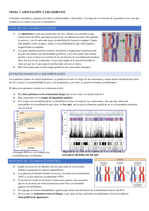 Miniatura del documento TEMA-7.pdf