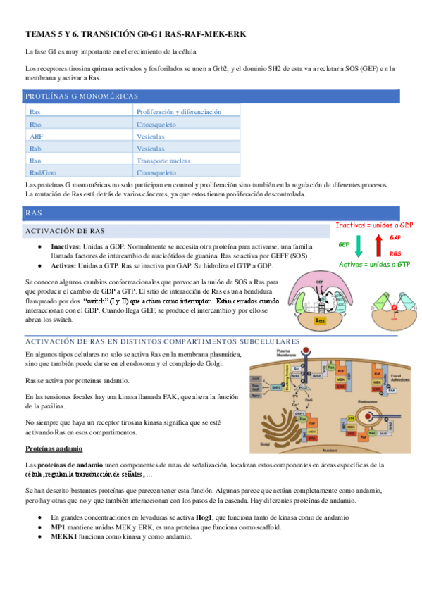 Miniatura del documento TEMA-5-Y-6.pdf