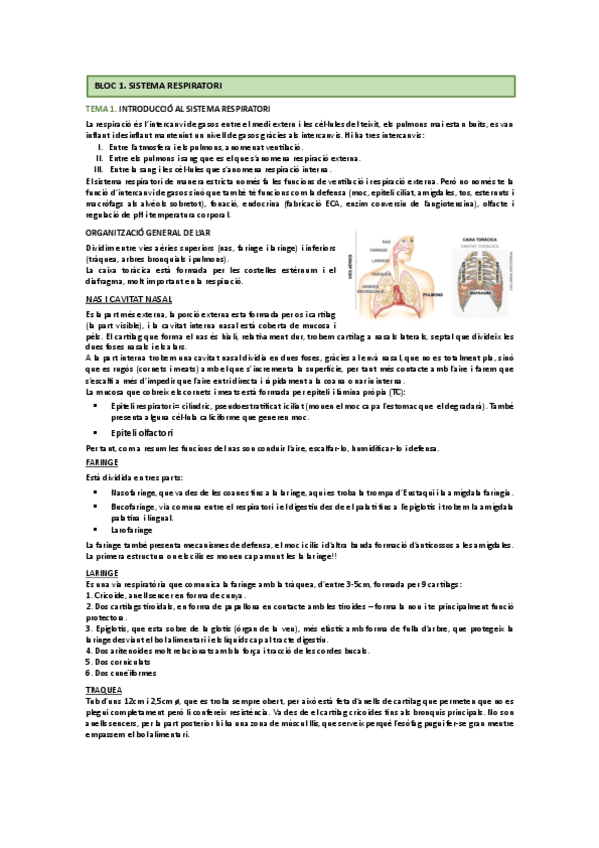 Miniatura del documento 1r-parcial-fisio-3.pdf