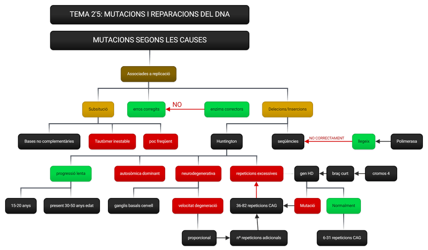 Miniatura del documento MUTACIONS-SEGONS-LES-CAUSES-1.png