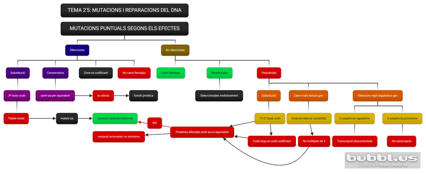 Miniatura del documento 1.-MUTACIONS-PUNTUALS-SEGONS-ELS-EFECTES-1.png