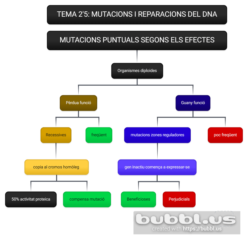 Miniatura del documento 1.-MUTACIONS-PUNTUALS-SEGONS-ELS-EFECTES-2.png