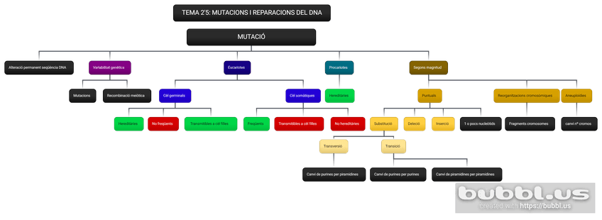 Miniatura del documento 0.-MUTACIO.png
