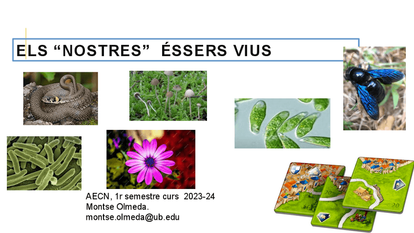 Miniatura del documento BIO-Apunts-PROFE-relacio-essersVius.pdf