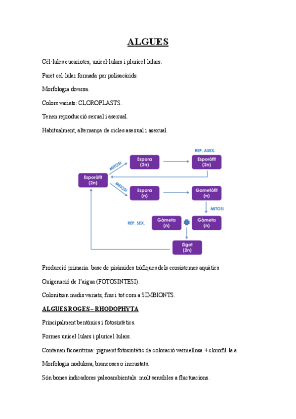 Miniatura del documento ALGUES.pdf