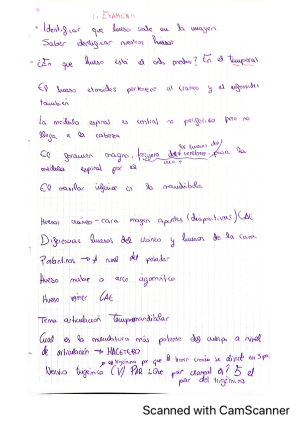 Miniatura del documento Preguntas-Anatomia-tema-1-2-y-3.pdf