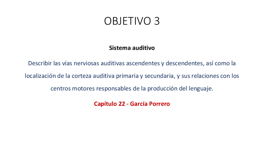 Miniatura del documento RI-Modulo-1-Objetivo-3-via-auditiva-3.pdf