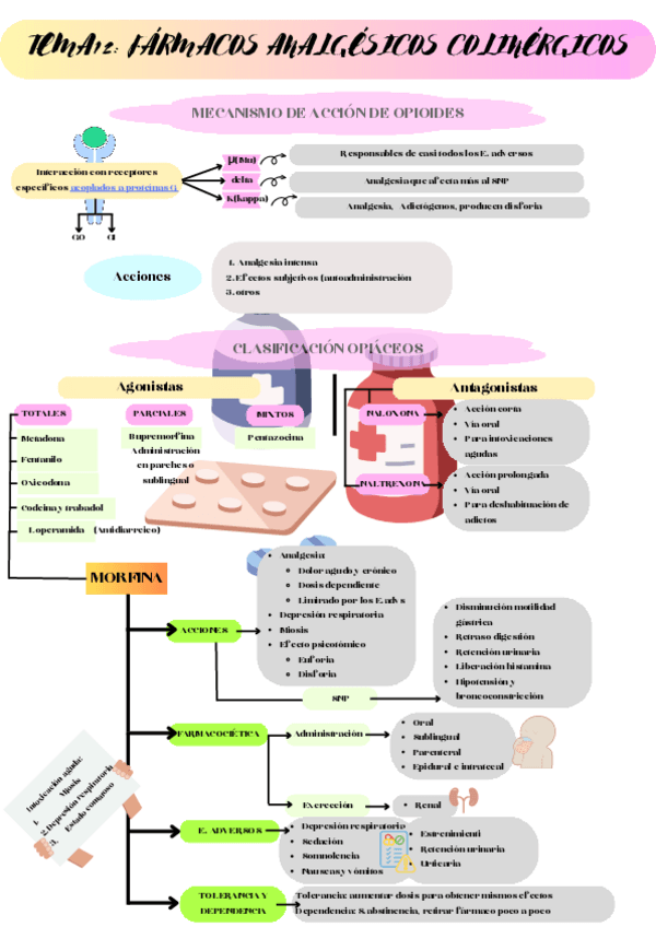 Miniatura del documento TEMA12-Farmacos-analgesicos-colinergicos.pdf