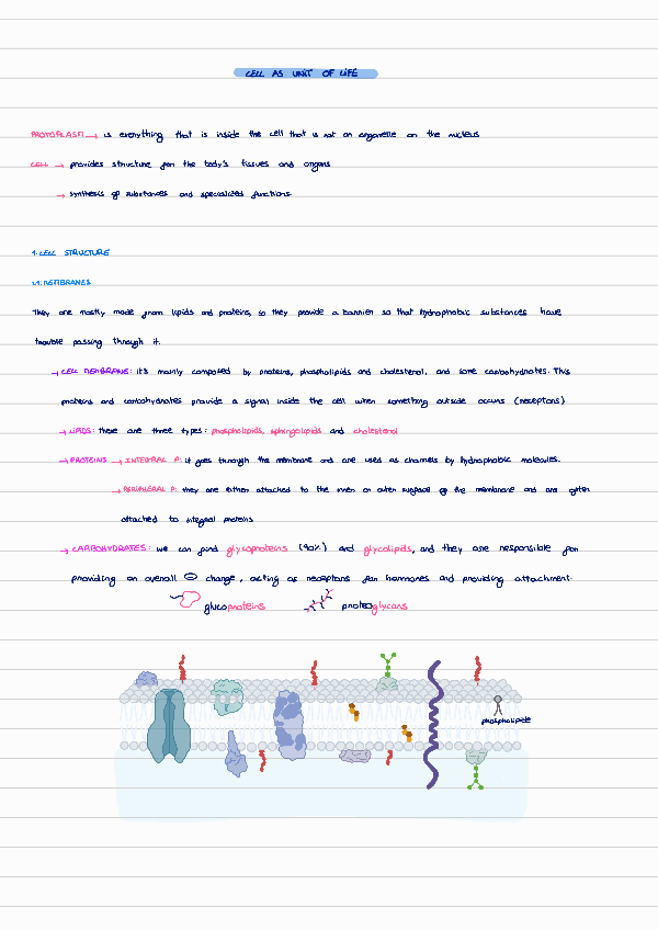 Miniatura del documento T1-cell-as-unit-of-life.pdf