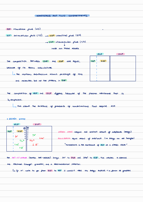 Miniatura del documento T2-transport-across-membrane.pdf