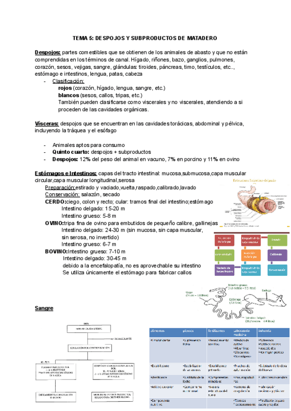 Miniatura del documento TEMA-5-DESPOJOS-Y-SUBPRODUCTOS-DE-MATADERO.docx.pdf