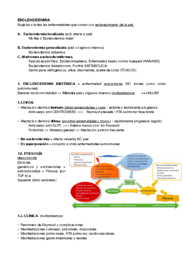Miniatura del documento esclerodermia-pdf.pdf