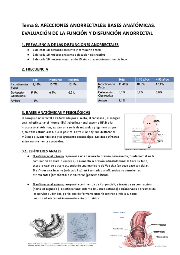 Miniatura del documento Tema-8.-SUELO-PELVICO.pdf